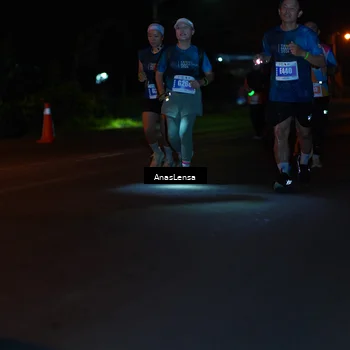 Runner Photo 4516081