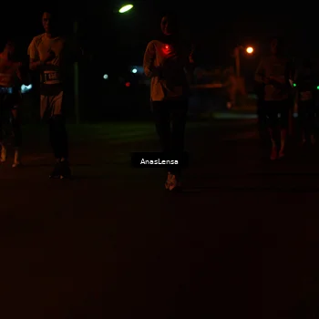 Runner Photo 4517043