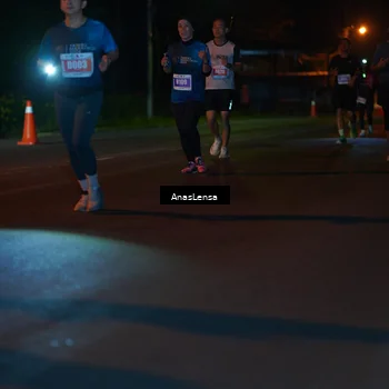 Runner Photo 4518604