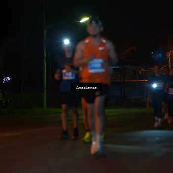 Runner Photo 4518997