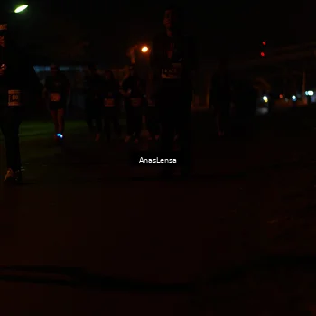 Runner Photo 4519114