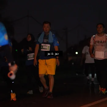 Runner Photo 4519207