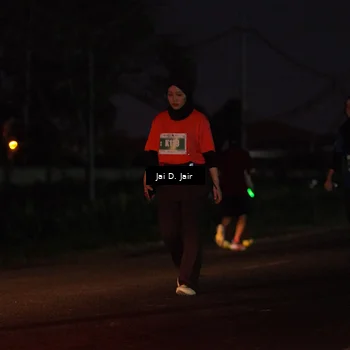 Runner Photo 4519279