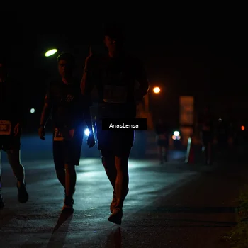 Runner Photo 4519673