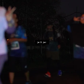 Runner Photo 4519825