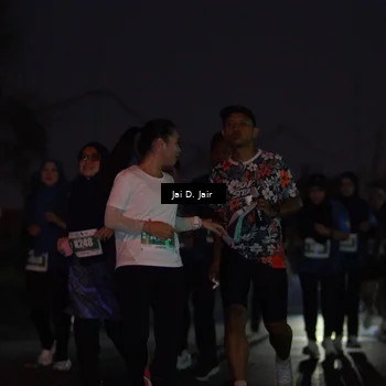 Runner Photo 4520008