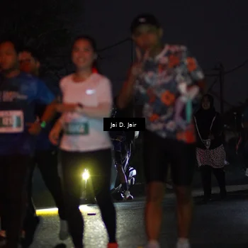 Runner Photo 4520028