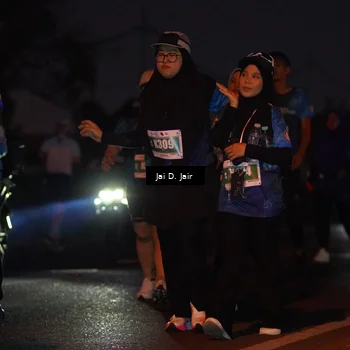 Runner Photo 4520126