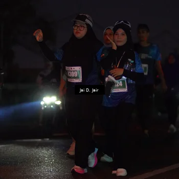 Runner Photo 4520129