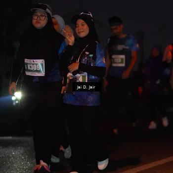 Runner Photo 4520168