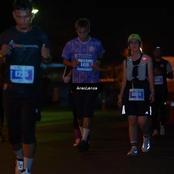 Runner Photo 4520174