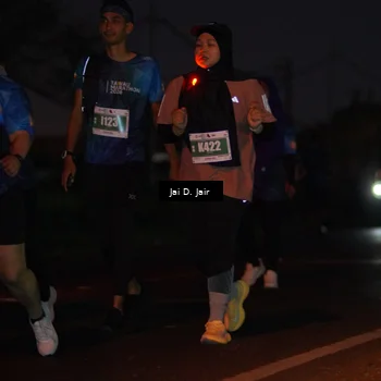 Runner Photo 4520188