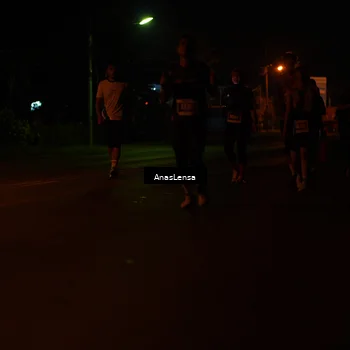 Runner Photo 4520198