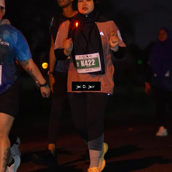 Runner Photo 4520205