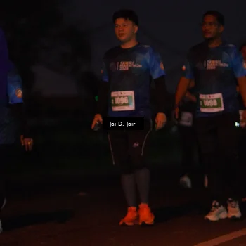 Runner Photo 4520245