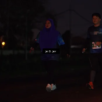 Runner Photo 4520247