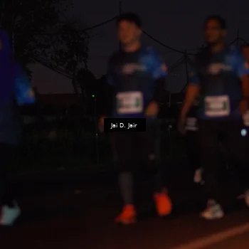 Runner Photo 4520254