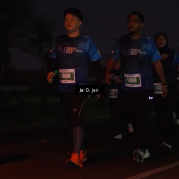 Runner Photo 4520275