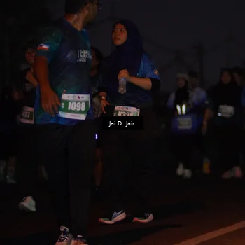 Runner Photo 4520293