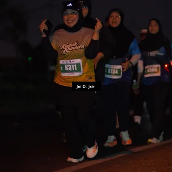 Runner Photo 4520492