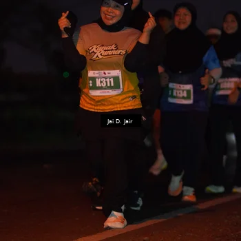 Runner Photo 4520544