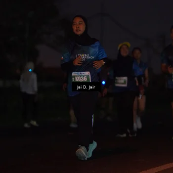 Runner Photo 4520791