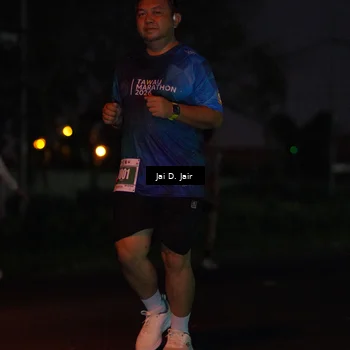 Runner Photo 4520797
