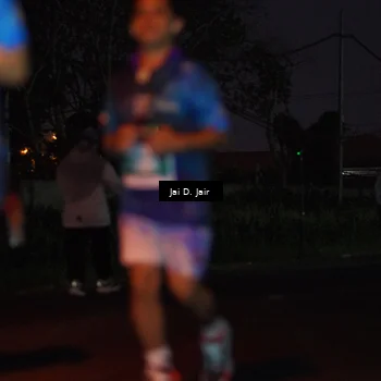 Runner Photo 4520838