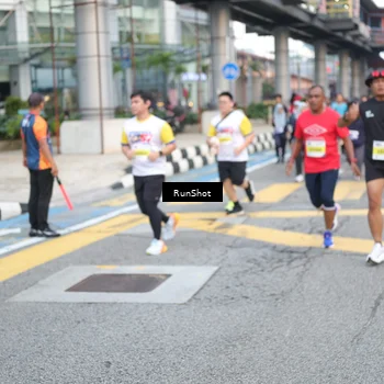 Runner Photo 4520871
