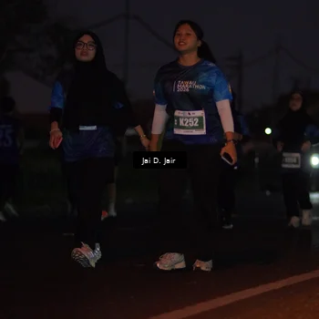 Runner Photo 4521496