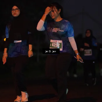 Runner Photo 4521498