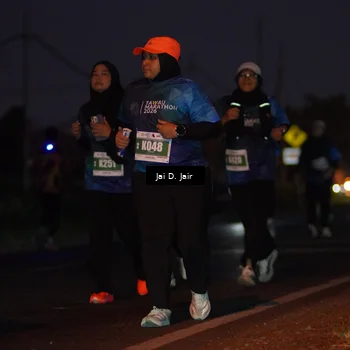 Runner Photo 4522196