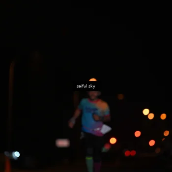 Runner Photo 4522589