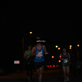 Runner Photo 4522603