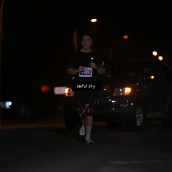 Runner Photo 4522637