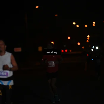 Runner Photo 4522645