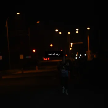 Runner Photo 4522648