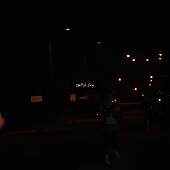Runner Photo 4522653