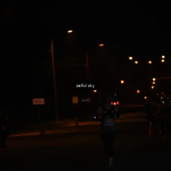 Runner Photo 4522657