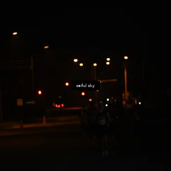 Runner Photo 4522659