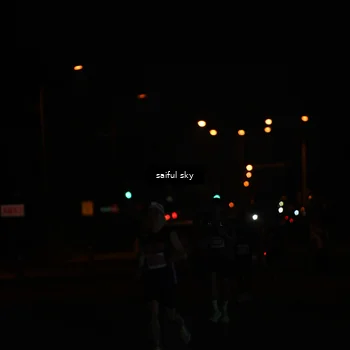 Runner Photo 4522661