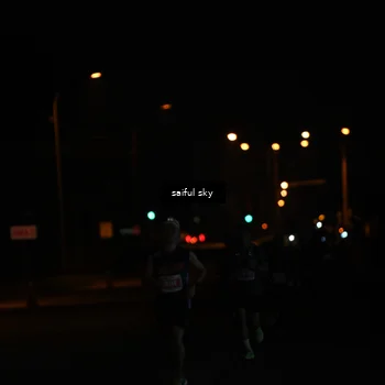 Runner Photo 4522666