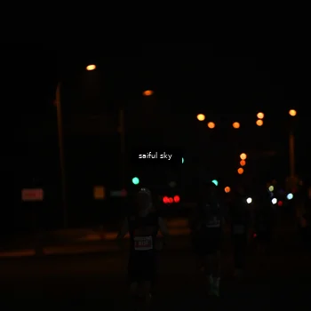 Runner Photo 4522667