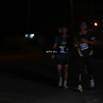 Runner Photo 4522672