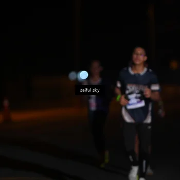 Runner Photo 4522674
