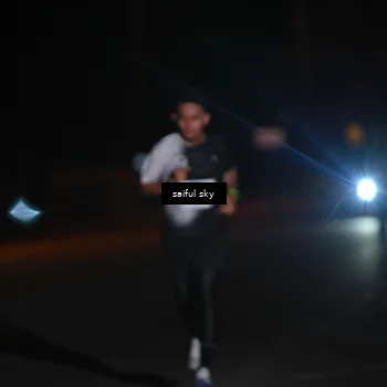 Runner Photo 4522680