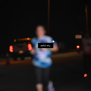 Runner Photo 4522693