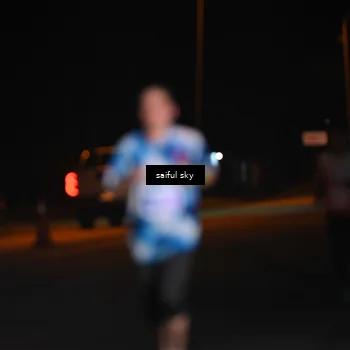 Runner Photo 4522695