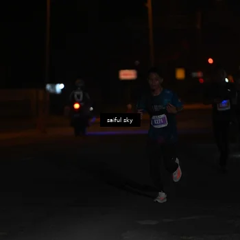 Runner Photo 4522740