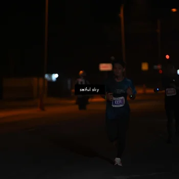Runner Photo 4522745